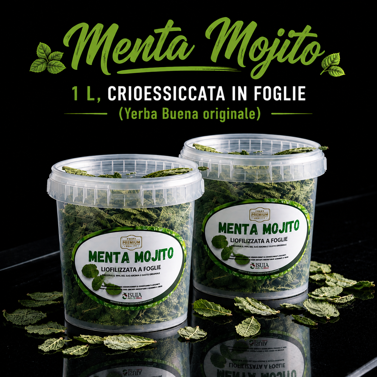 MENTA MOJITO HIERBABUENA 1L