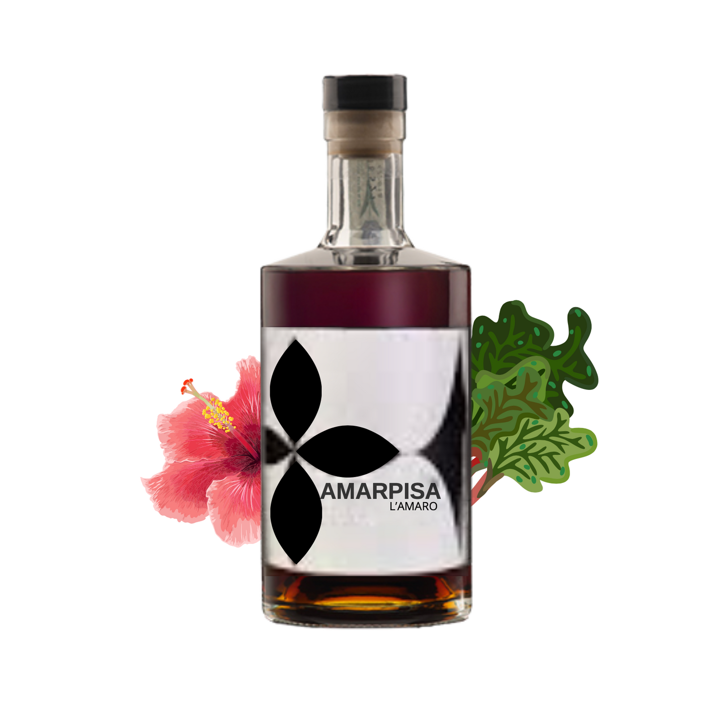 AmarPisa