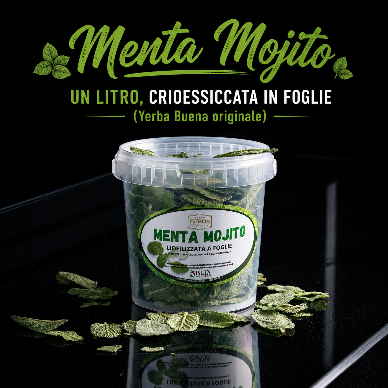 MENTA MOJITO  HIERBABUENA 1L
