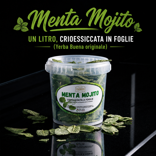 MENTA MOJITO  HIERBABUENA 1L