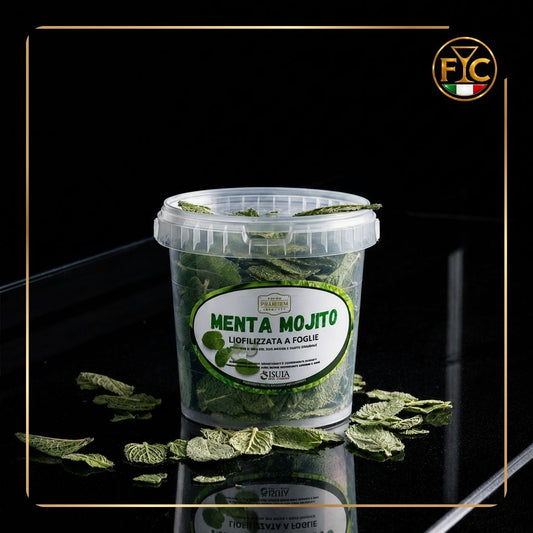 MENTA MOJITO  HIERBABUENA 3L