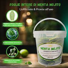 MENTA MOJITO  HIERBABUENA 1L